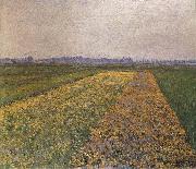 Gustave Caillebotte Yellow field USA oil painting artist